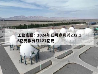 工业富联：2024年归母净利润232.16亿元拟分红127亿元