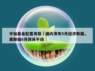 中加基金配置周报｜国内发布5月经济数据，美联储6月按兵不动
