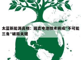 太蓝新能源高翔：固态电池技术将成"不可能三角"破局关键
